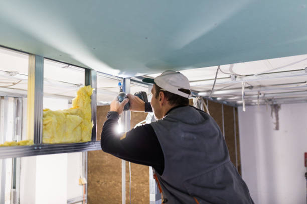 Best Insulation Installation Services in Troy, TN